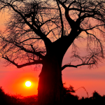 Los 10 países que hay que visitar en 2016