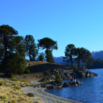 Preocupan los aumentos de gas