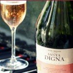 el-espumante-chileno-el-elegido