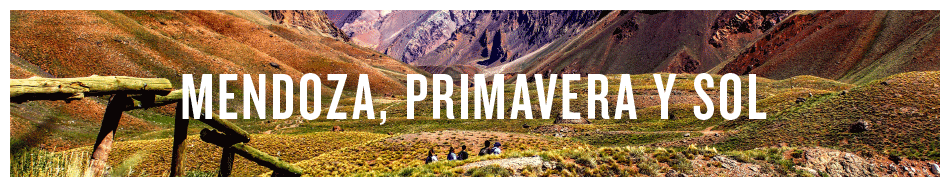 American Mendoza 950×187