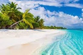 El Turismo caribeño sumamente afectado