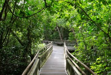 Argentina | Imperdibles para disfrutar el fin de semana largo