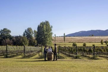 Córdoba | Más del 70% de ocupación turística durante el Finde XL