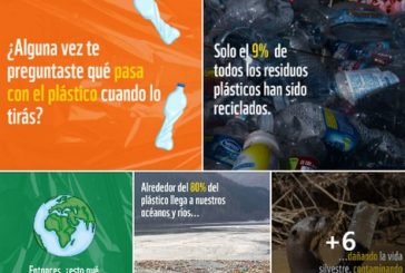 Día Mundial del Medio Ambiente: es hora de proteger el ambiente entero