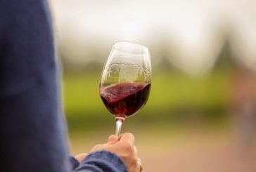 Bodega Argentina elegida con el mejor viñedo del mundo