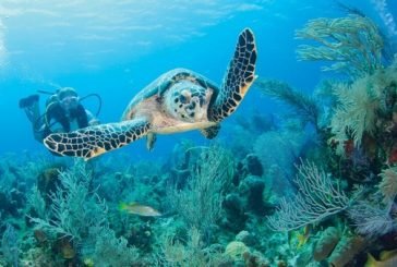 Buceo en las Islas Caimán