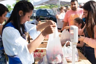 Destinos bonaerenses con las frutillas como protagonistas